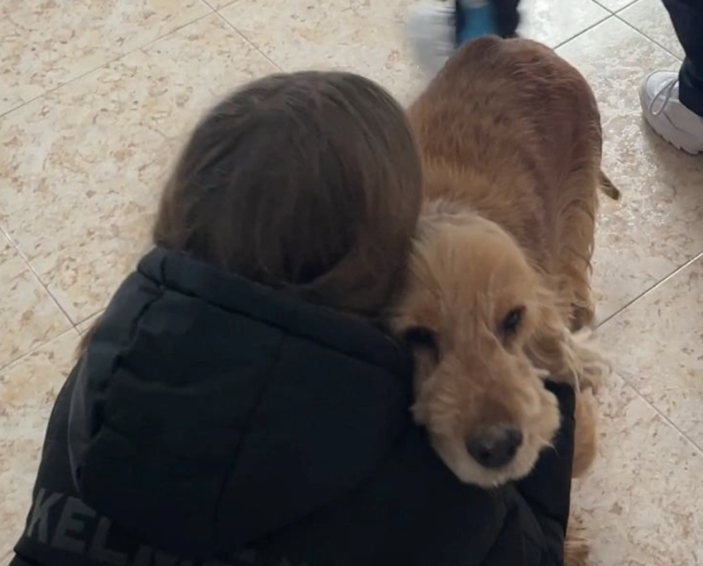 Día Universal del Niño. Beneficios de tener perro en la infancia